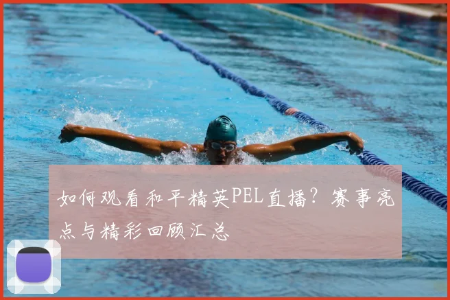 如何观看和平精英PEL直播?赛事亮点与精彩回顾汇总