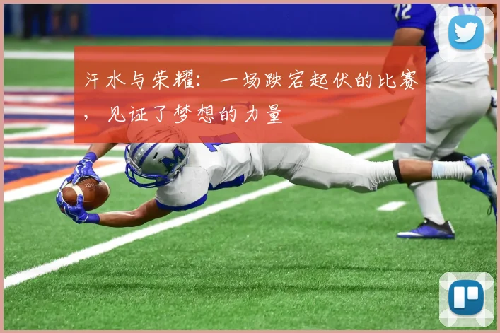 汗水与荣耀:一场跌宕起伏的比赛,见证了梦想的力量