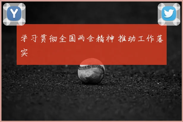学习贯彻全国两会精神 推动工作落实