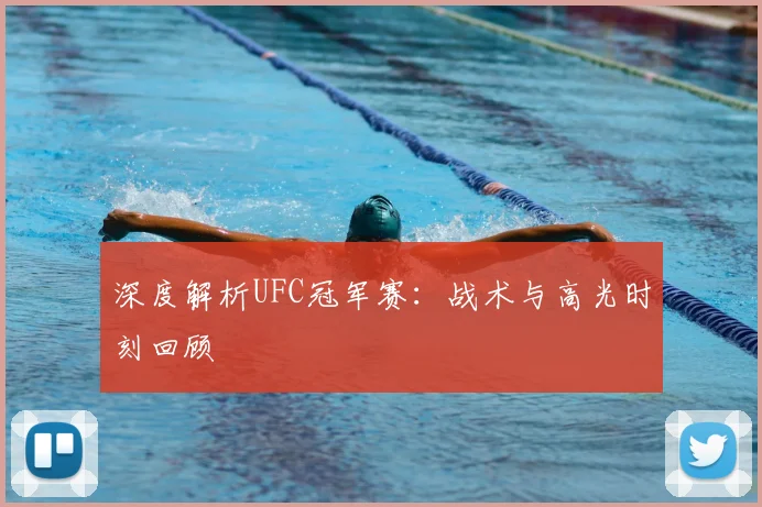 深度解析UFC冠军赛：战术与高光时刻回顾