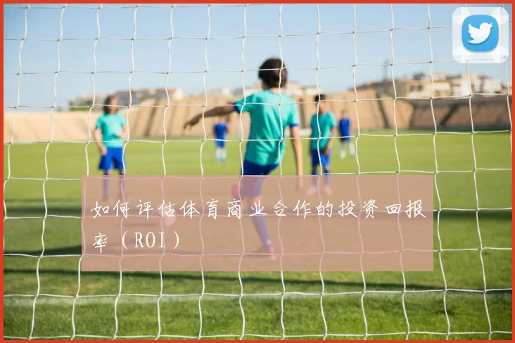如何评估体育商业合作的投资回报率(ROI)