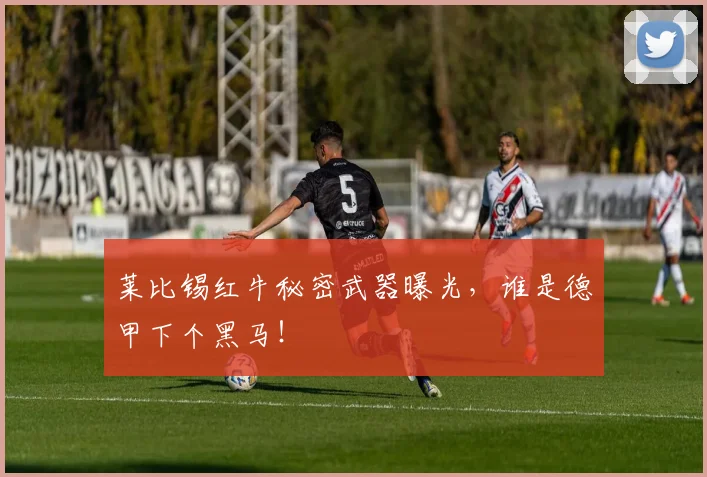 莱比锡红牛秘密武器曝光，谁是德甲下个黑马！