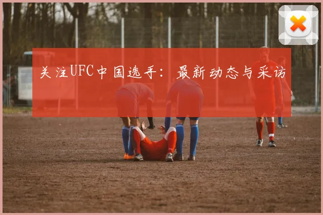 关注UFC中国选手：最新动态与采访