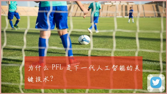 为什么 PFL 是下一代人工智能的关键技术?
