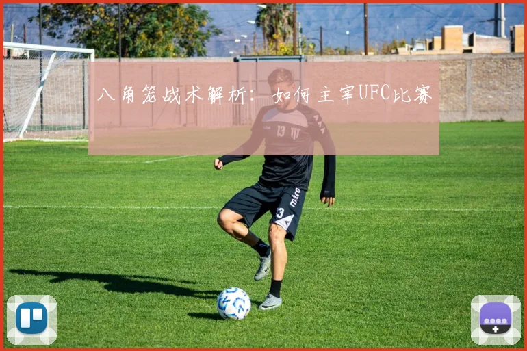 八角笼战术解析:如何主宰UFC比赛