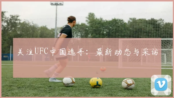 关注UFC中国选手:最新动态与采访