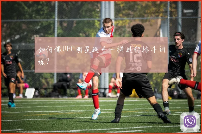 如何像UFC明星选手一样进行格斗训练?