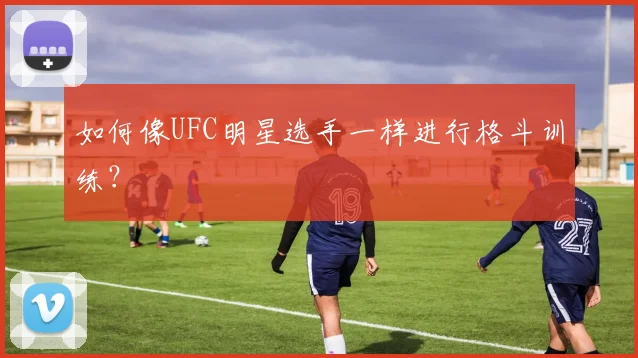 如何像UFC明星选手一样进行格斗训练?