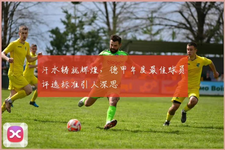 汗水铸就辉煌,德甲年度最佳球员评选标准引人深思