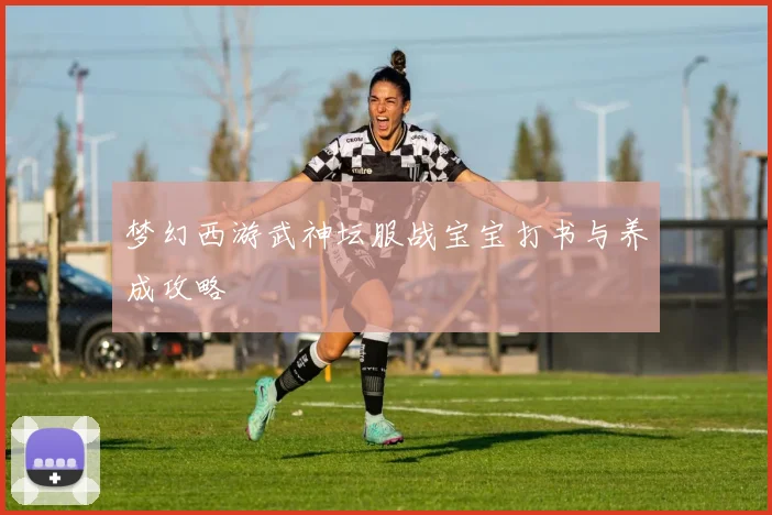 梦幻西游武神坛服战宝宝打书与养成攻略
