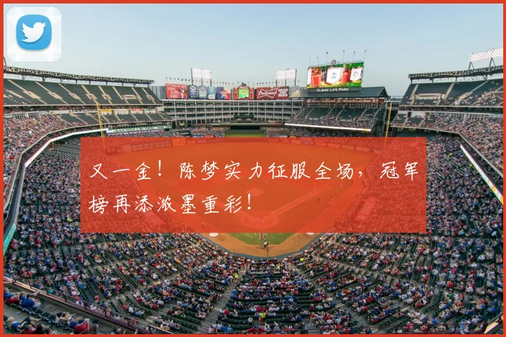 又一金!陈梦实力征服全场,冠军榜再添浓墨重彩!