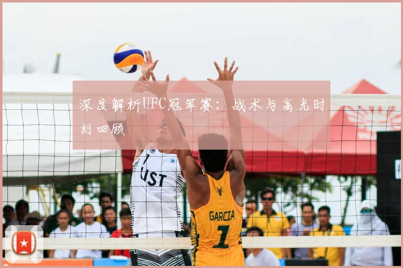 深度解析UFC冠军赛：战术与高光时刻回顾
